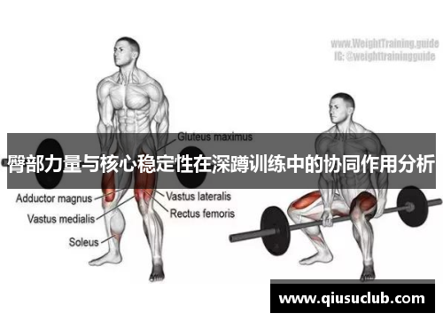 臀部力量与核心稳定性在深蹲训练中的协同作用分析