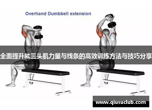 全面提升肱三头肌力量与线条的高效训练方法与技巧分享