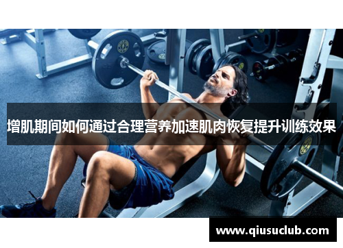 增肌期间如何通过合理营养加速肌肉恢复提升训练效果